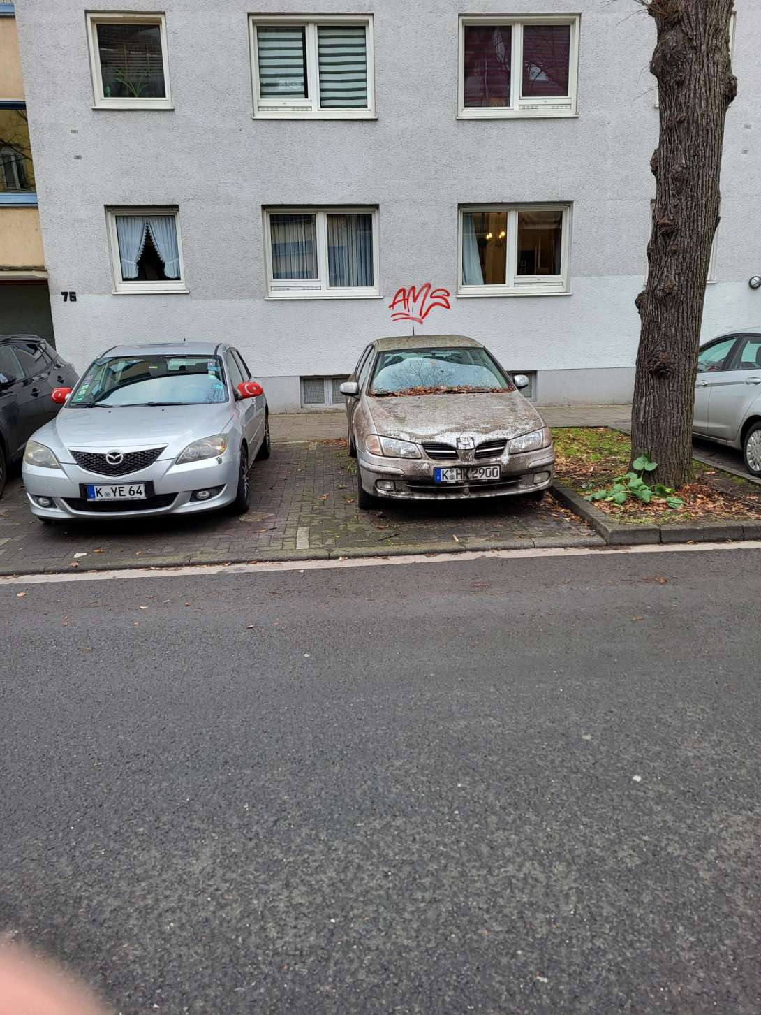 Bild zu gemeldetem Anliegen vom *2025-01-16 16:17:57