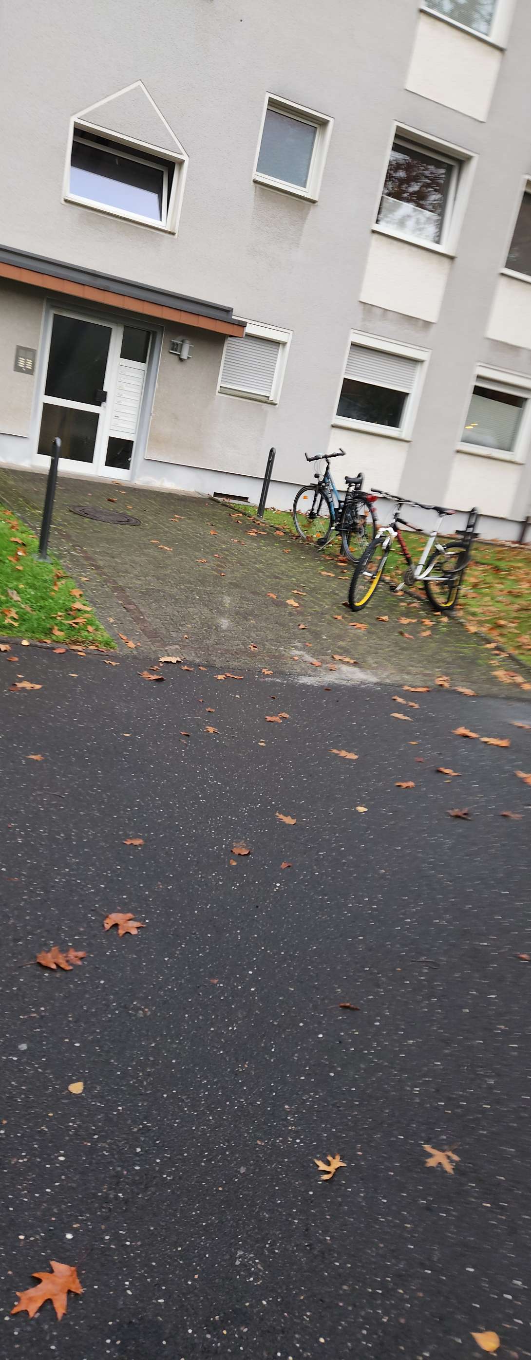 Bild zu gemeldetem Anliegen vom *2025-01-06 13:37:57