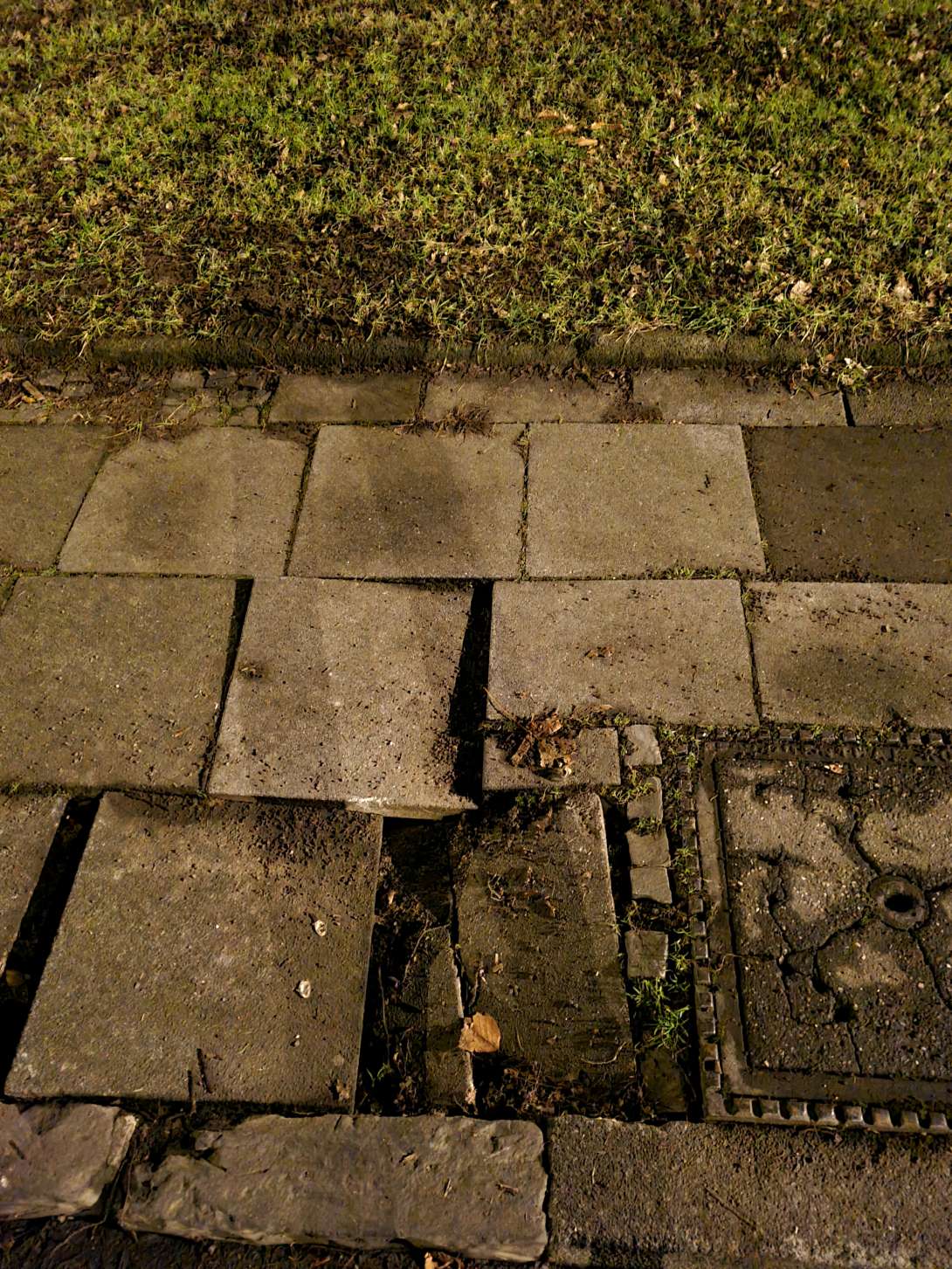 Bild zu gemeldetem Anliegen vom *2025-01-24 11:39:18