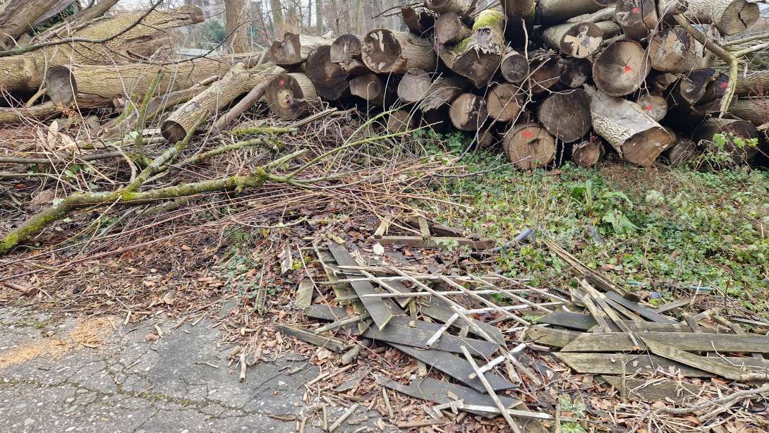 Bild zu gemeldetem Anliegen vom *2025-01-20 15:25:25
