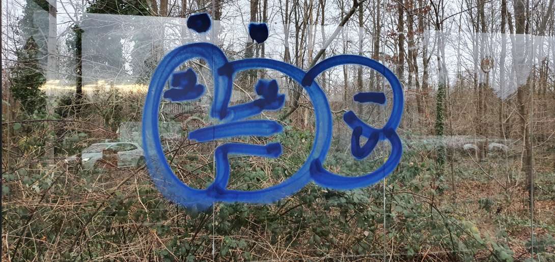 Bild zu gemeldetem Anliegen vom *2025-01-06 09:17:31