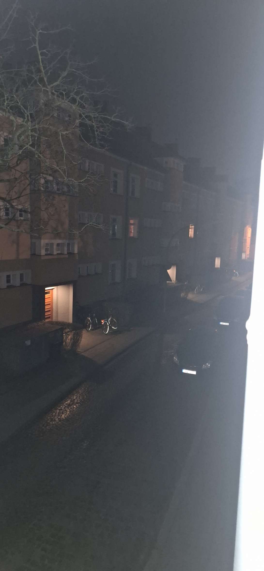 Bild zu gemeldetem Anliegen vom *2025-01-21 18:19:31