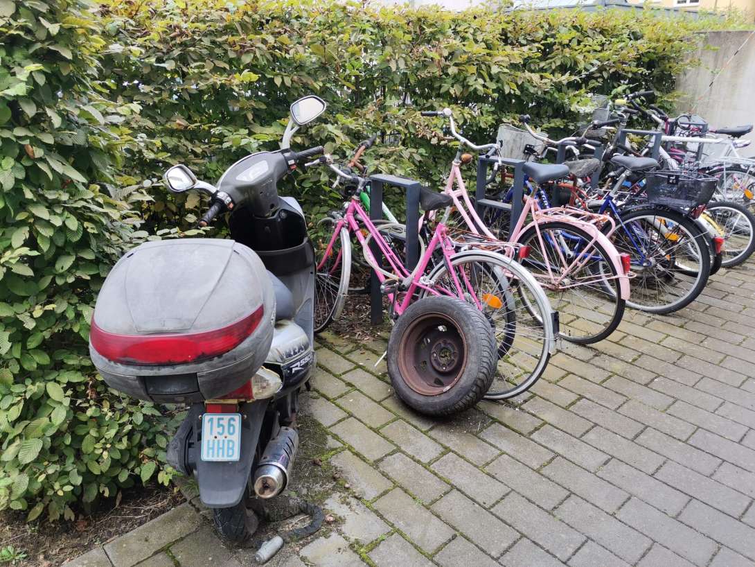 Bild zu gemeldetem Anliegen vom *2025-01-28 12:35:08