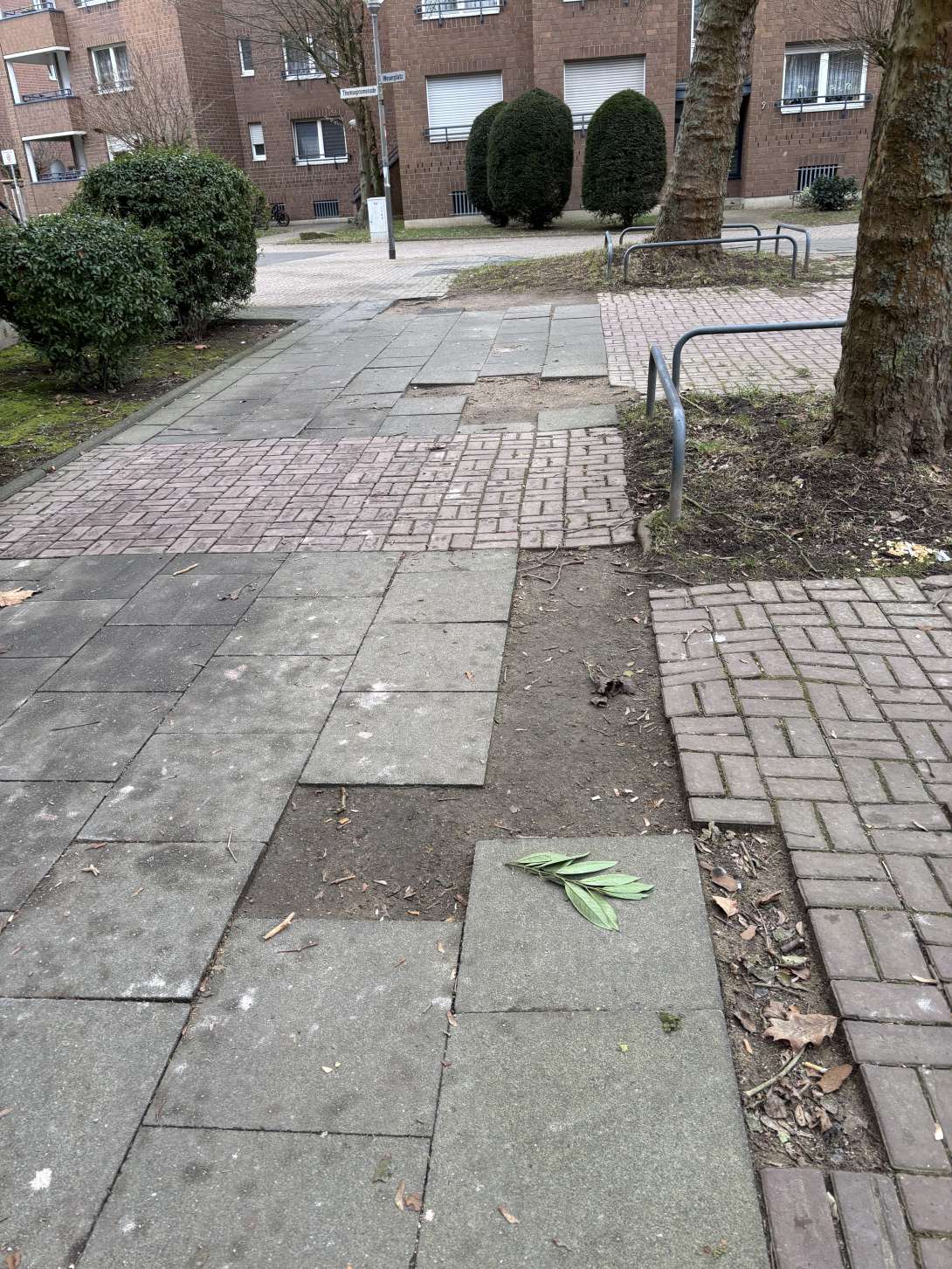 Bild zu gemeldetem Anliegen vom *2025-01-22 14:27:28