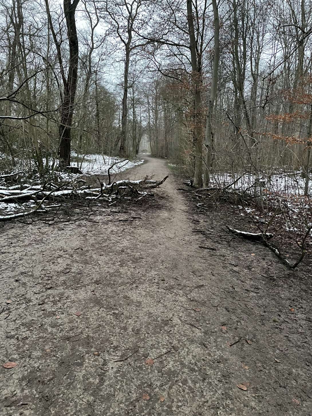 Bild zu gemeldetem Anliegen vom *2025-01-19 19:02:43