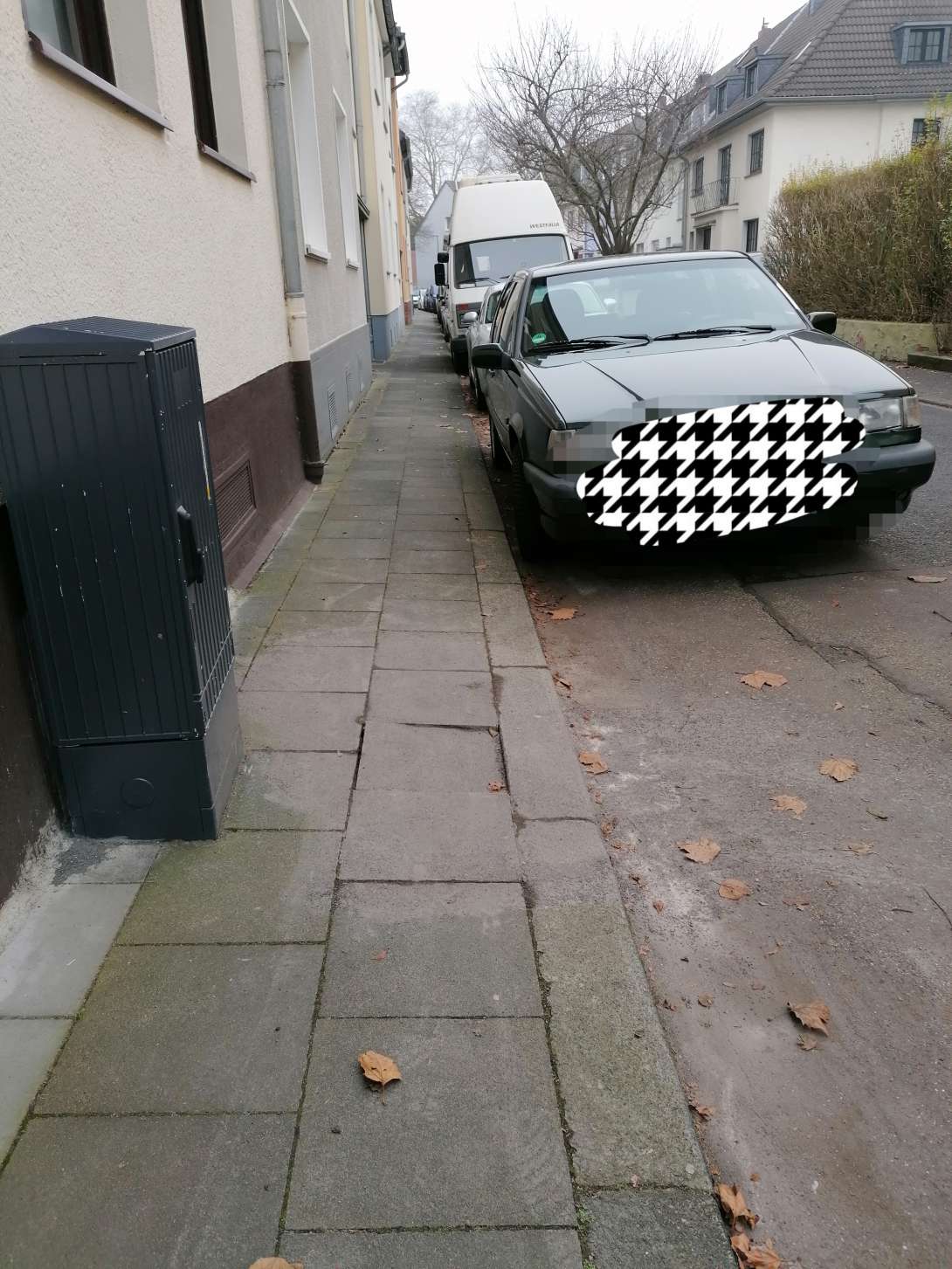 Bild zu gemeldetem Anliegen vom *2025-01-19 16:12:34