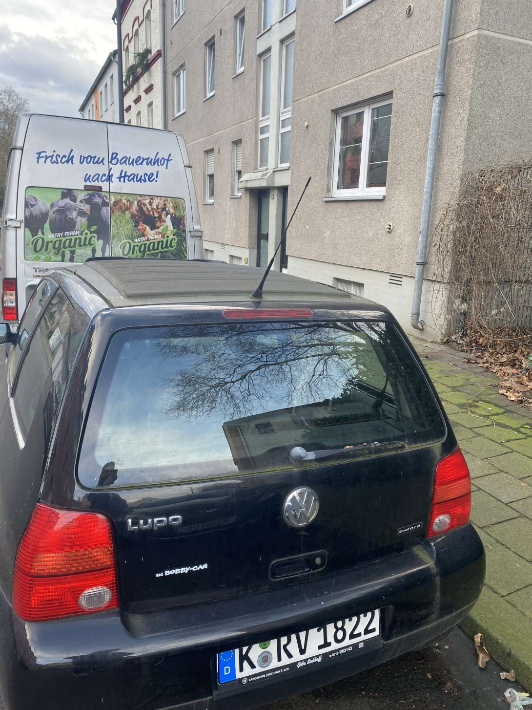Bild zu gemeldetem Anliegen vom *2025-01-27 09:27:26