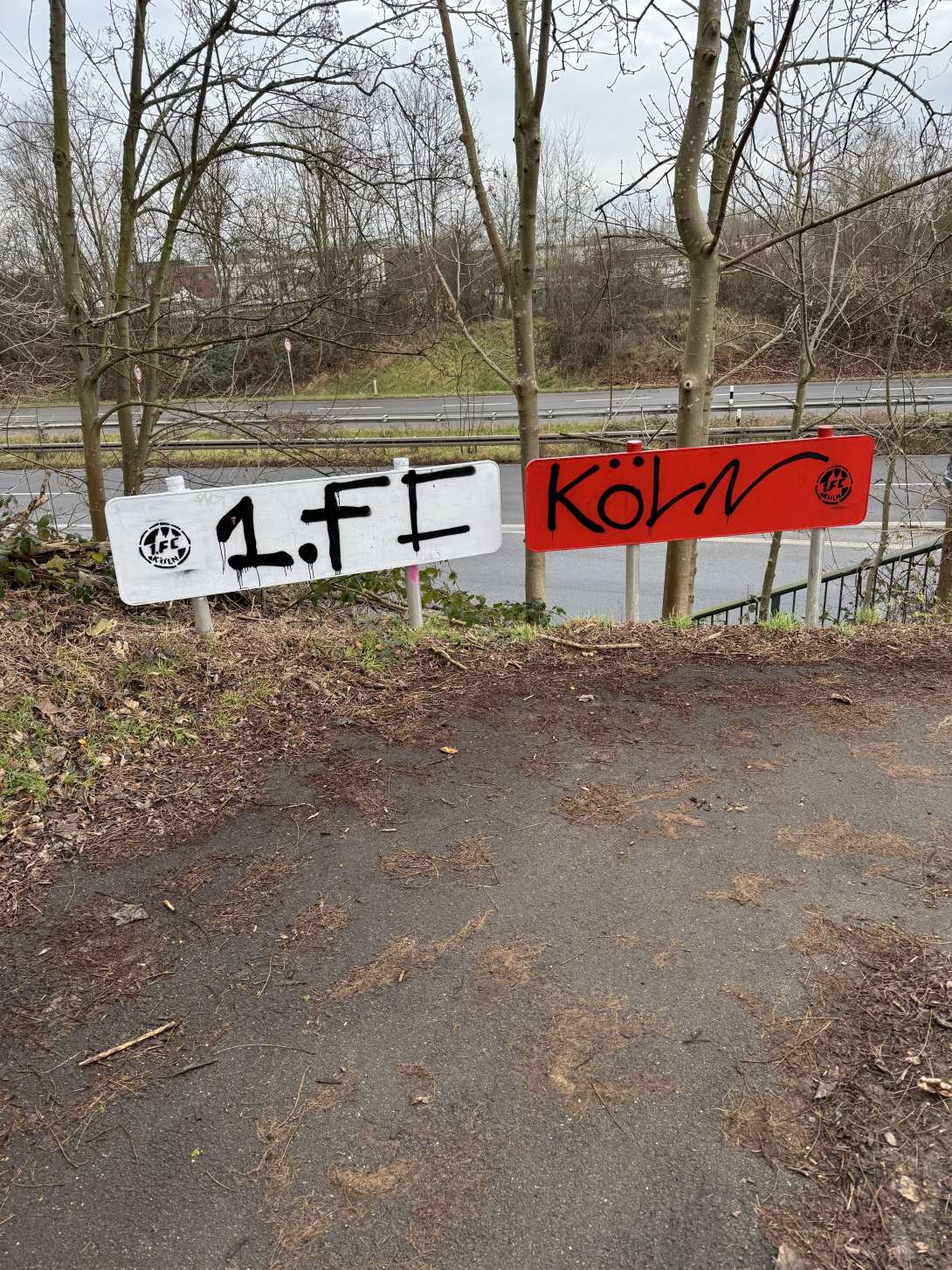 Bild zu gemeldetem Anliegen vom *2025-01-10 13:20:36