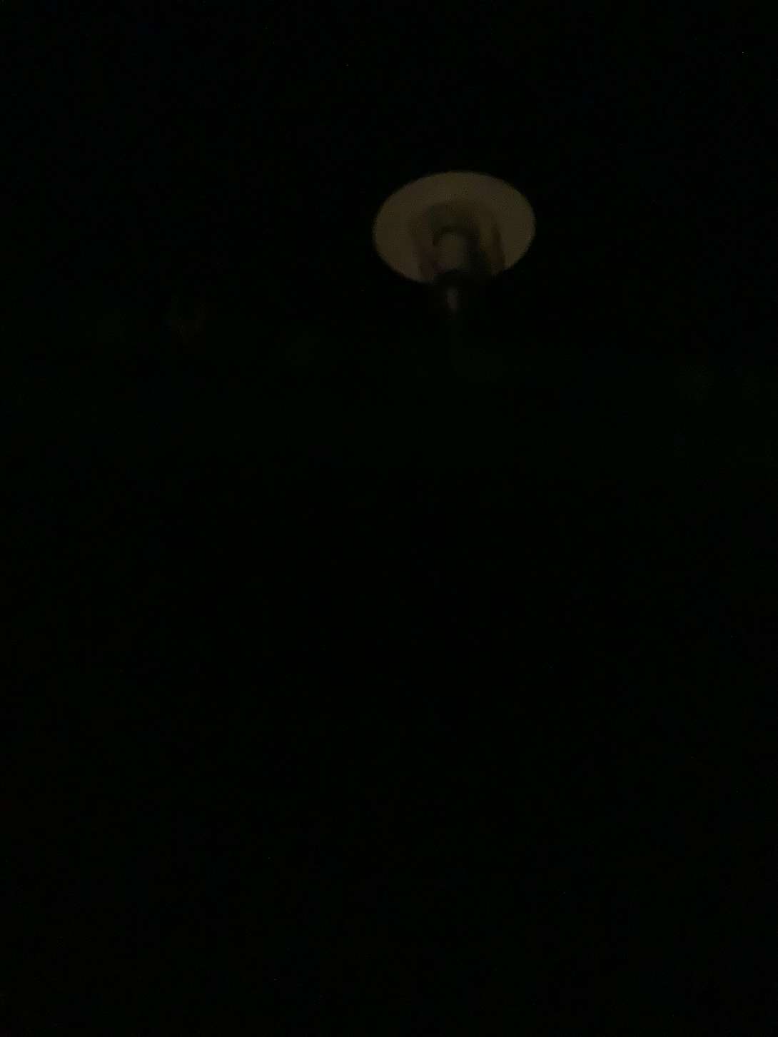 Bild zu gemeldetem Anliegen vom *2025-01-31 23:05:18