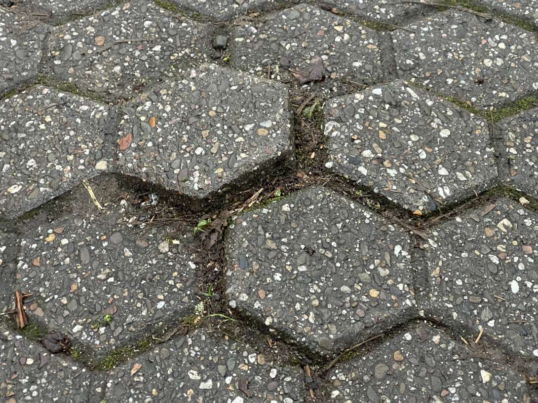 Bild zu gemeldetem Anliegen vom *2025-01-15 16:31:14