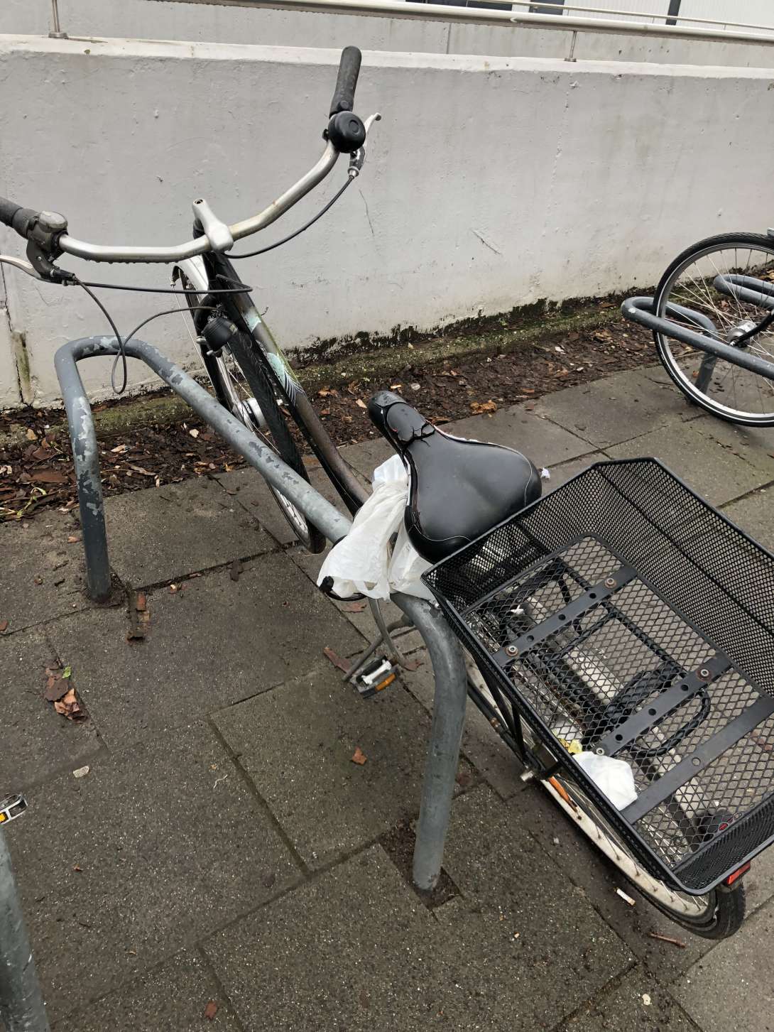 Bild zu gemeldetem Anliegen vom *2025-01-27 12:13:04
