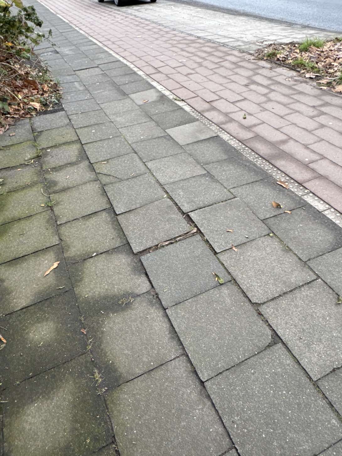 Bild zu gemeldetem Anliegen vom *2025-01-04 10:55:14
