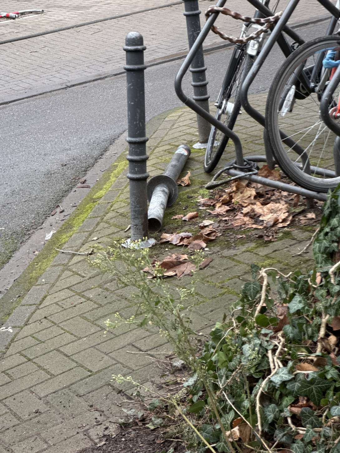 Bild zu gemeldetem Anliegen vom *2025-01-16 10:35:05