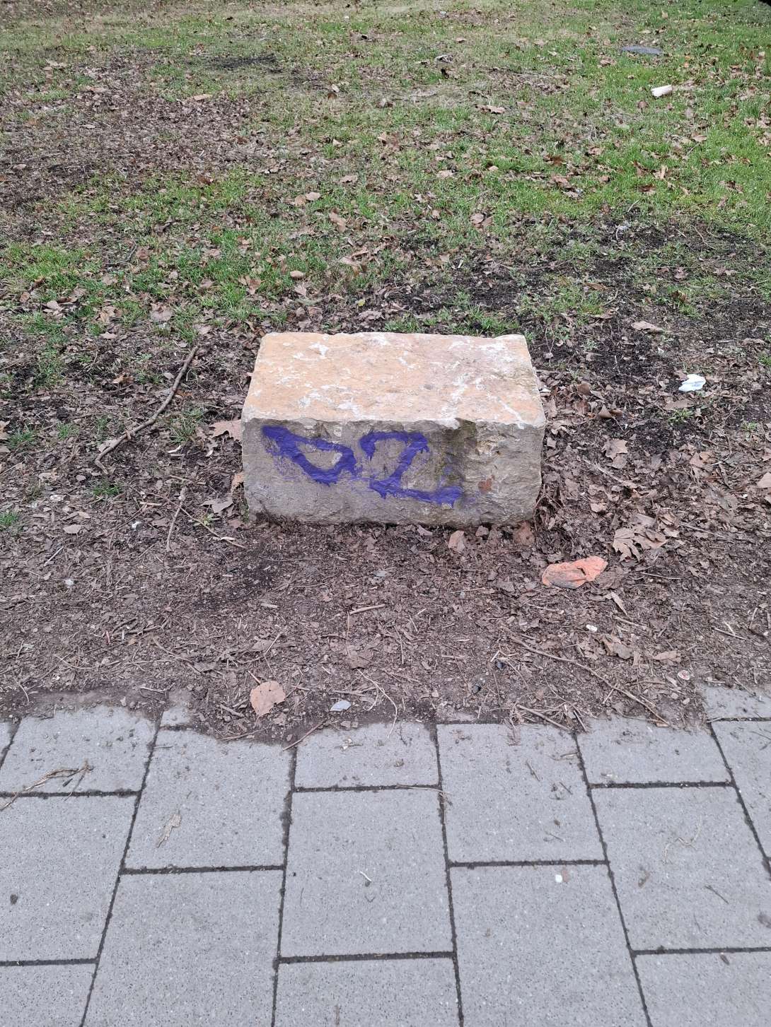 Bild zu gemeldetem Anliegen vom *2025-02-11 12:36:13