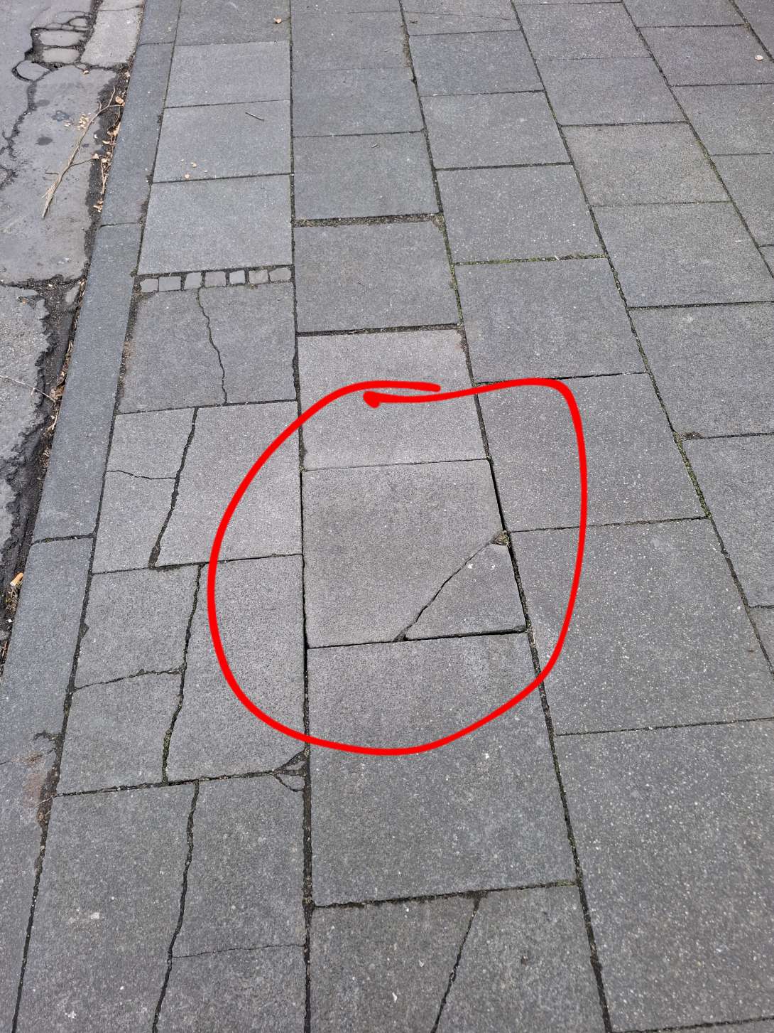 Bild zu gemeldetem Anliegen vom *2025-02-23 13:35:05