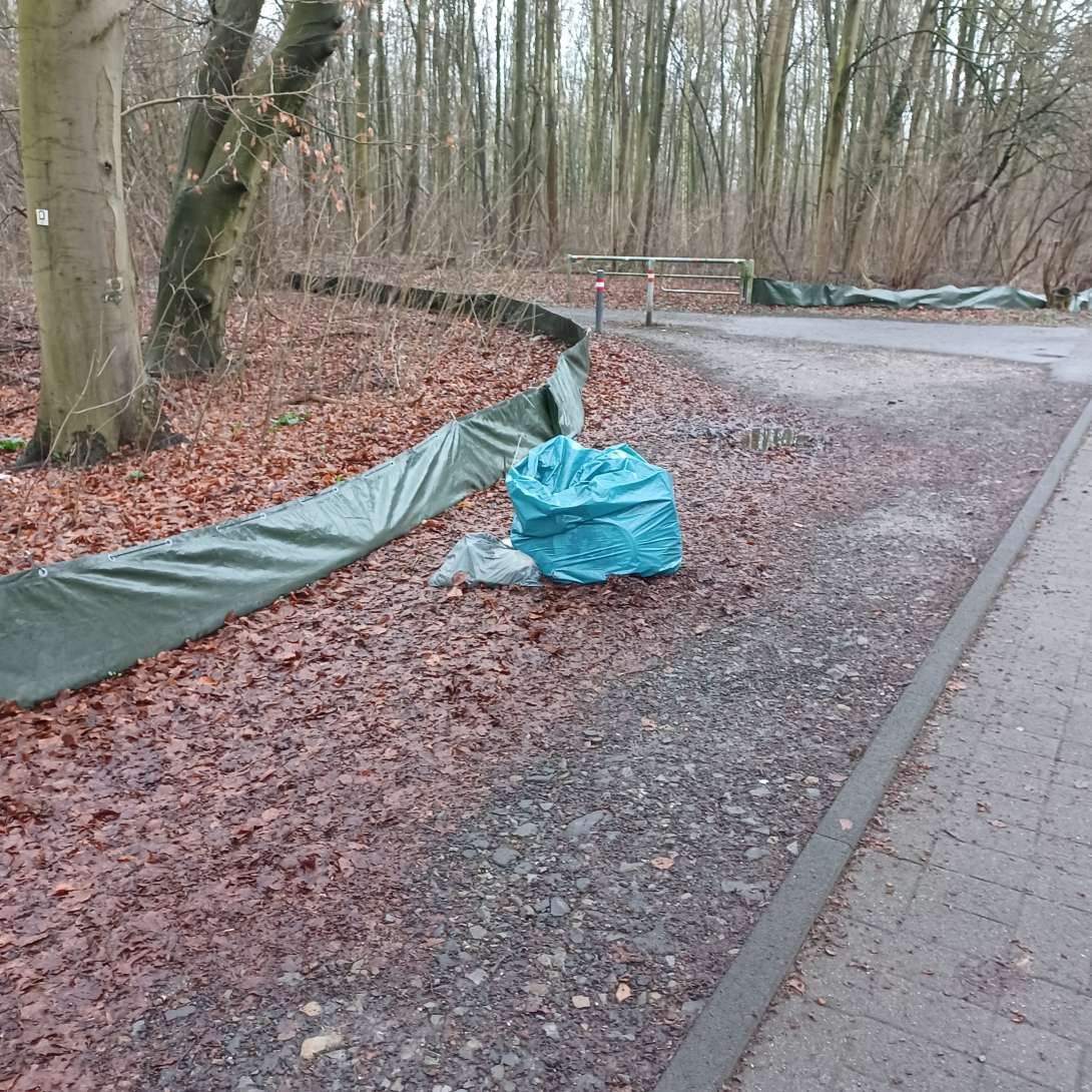 Bild zu gemeldetem Anliegen vom *2025-02-28 09:47:39
