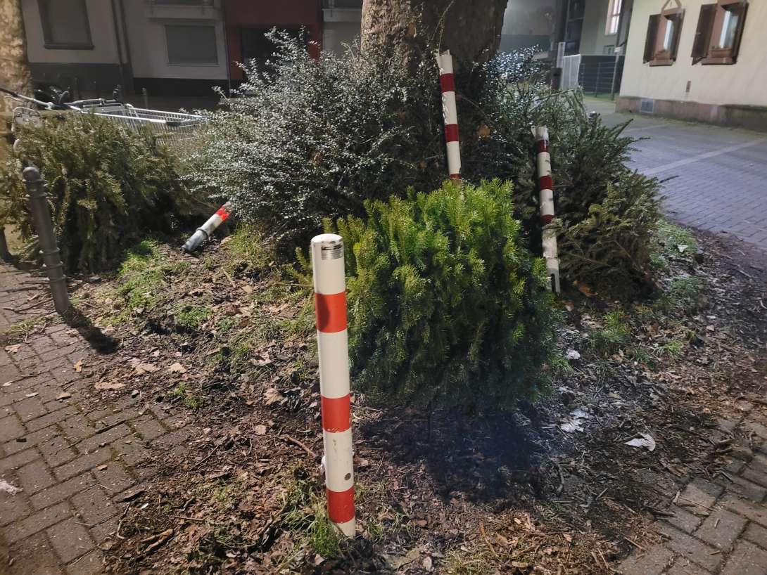 Bild zu gemeldetem Anliegen vom *2025-02-18 22:10:25