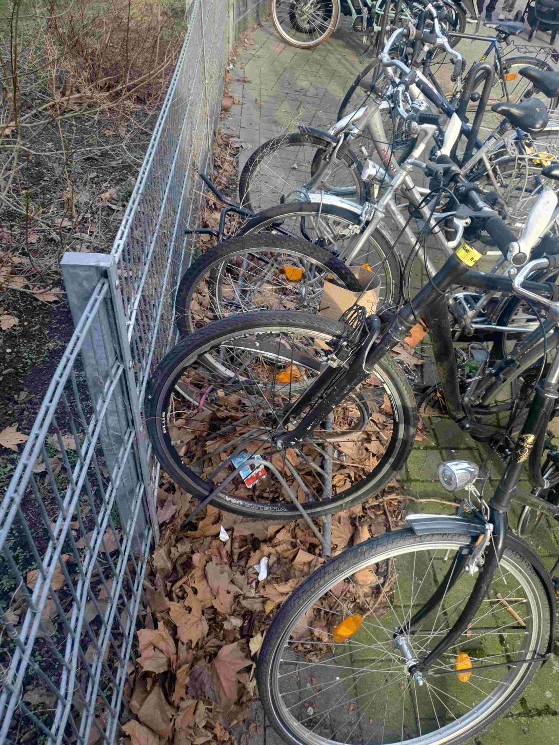 Bild zu gemeldetem Anliegen vom *2025-02-11 11:35:00