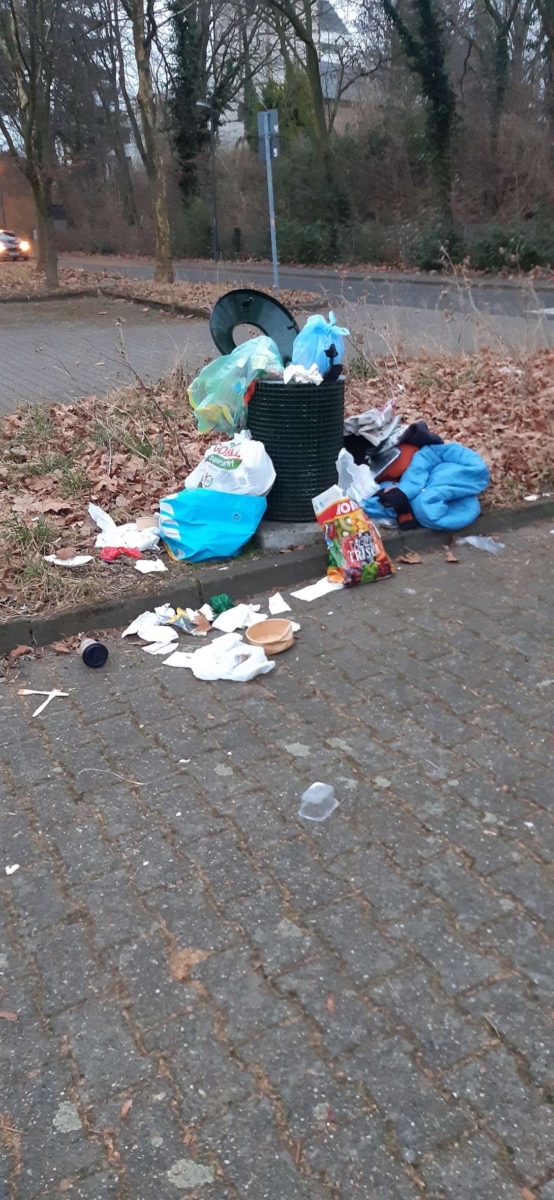 Bild zu gemeldetem Anliegen vom *2025-02-24 18:56:34