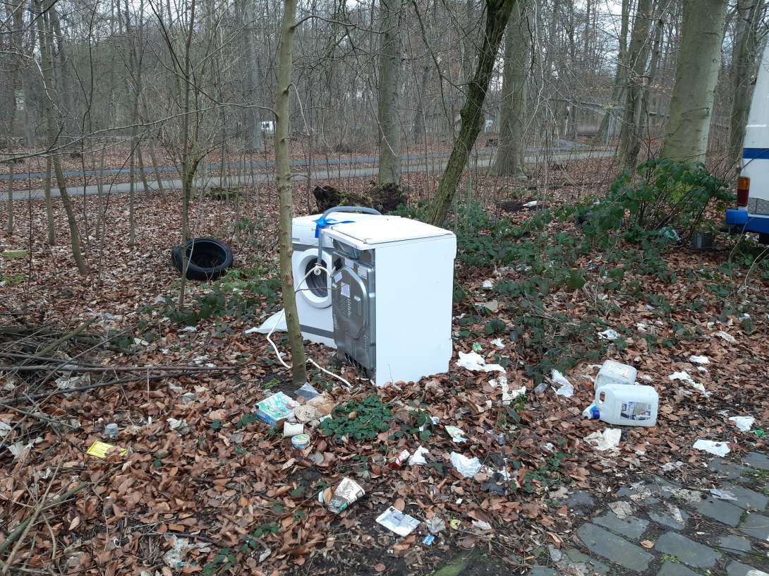 Bild zu gemeldetem Anliegen vom *2025-03-04 09:12:50