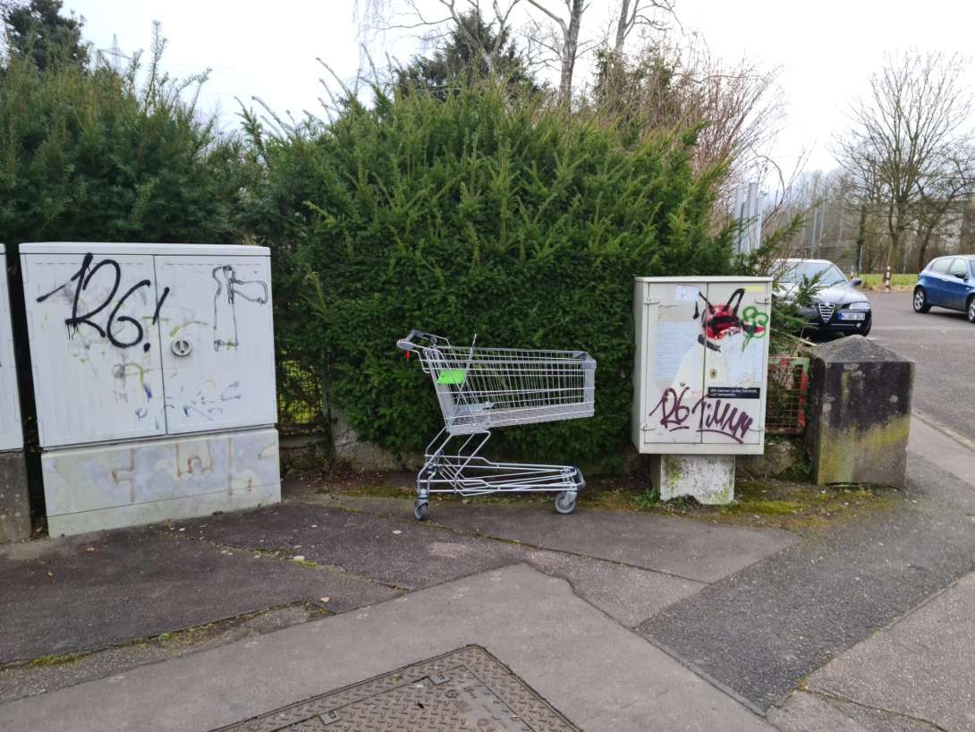 Bild zu gemeldetem Anliegen vom *2025-02-28 08:22:50