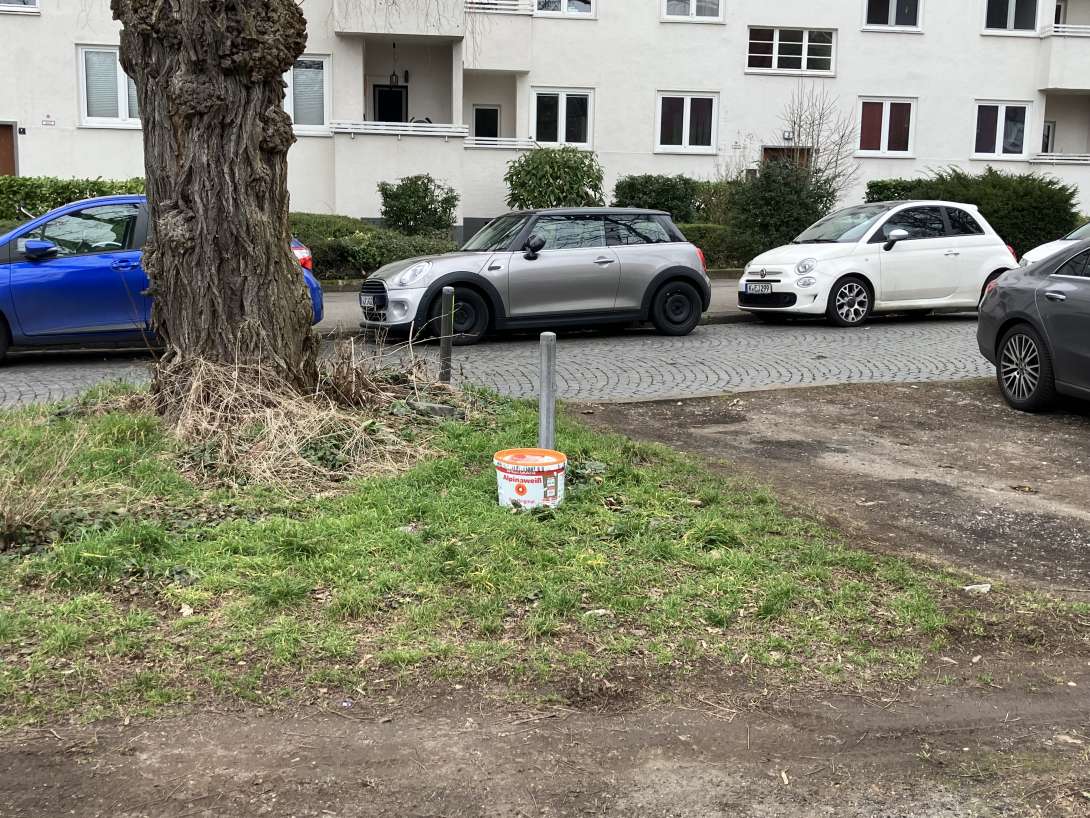 Bild zu gemeldetem Anliegen vom *2025-02-26 10:30:24