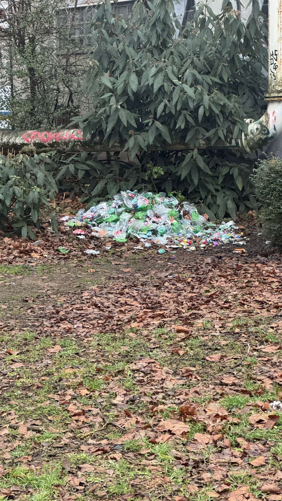 Bild zu gemeldetem Anliegen vom *2025-03-04 10:19:11