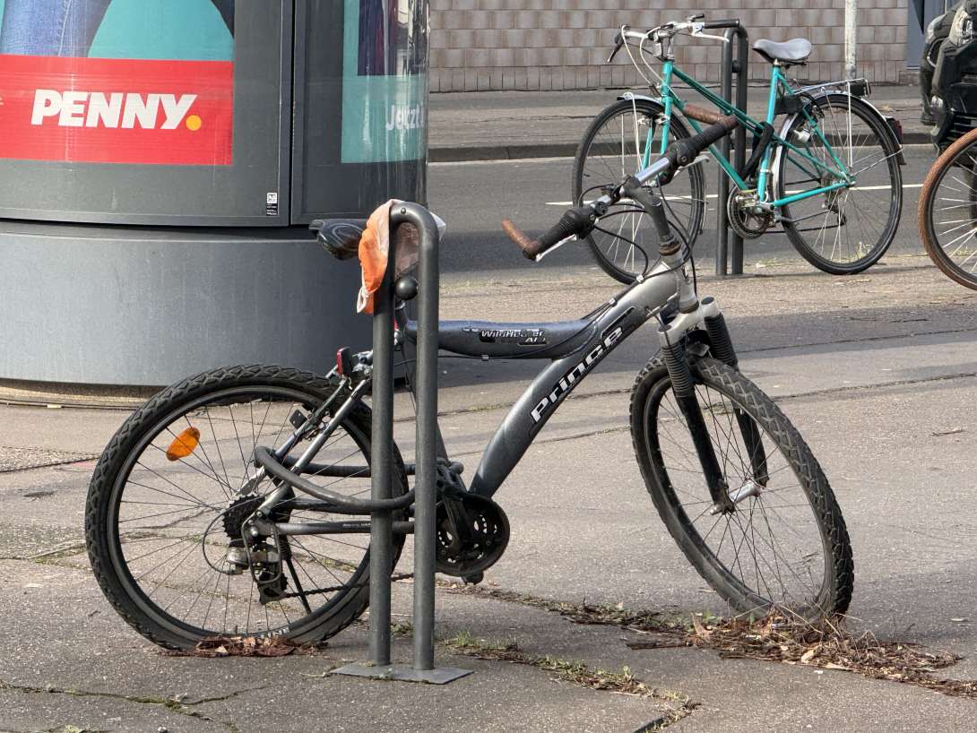 Bild zu gemeldetem Anliegen vom *2025-02-04 11:48:34