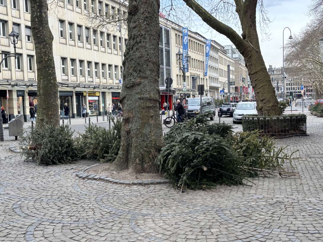 Bild zu gemeldetem Anliegen vom *2025-02-25 09:45:14