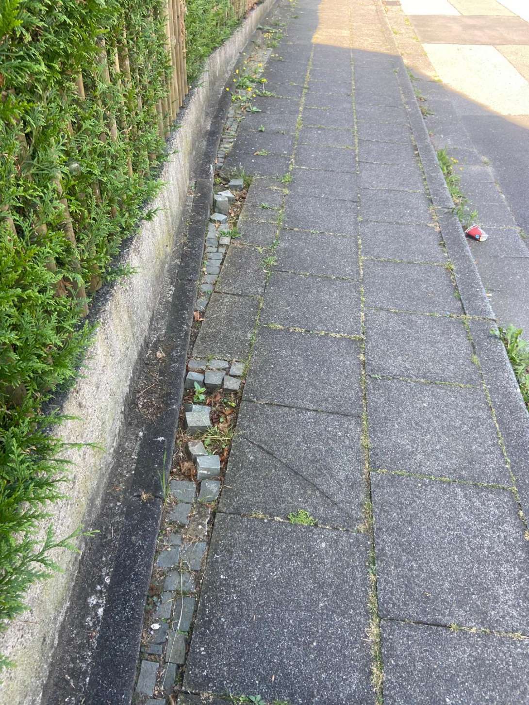 Bild zu gemeldetem Anliegen vom *2025-02-07 09:21:17