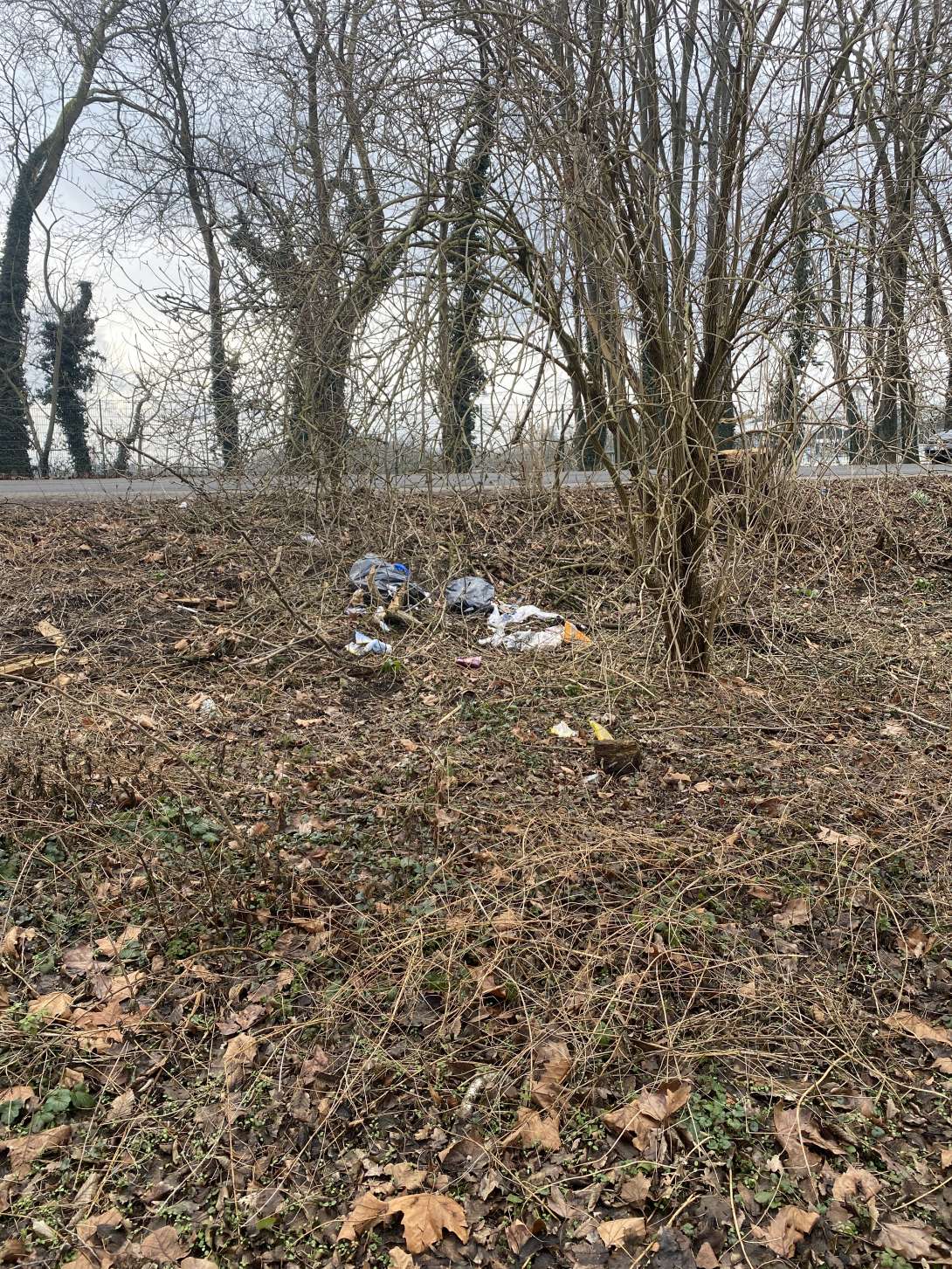 Bild zu gemeldetem Anliegen vom *2025-03-04 08:38:29