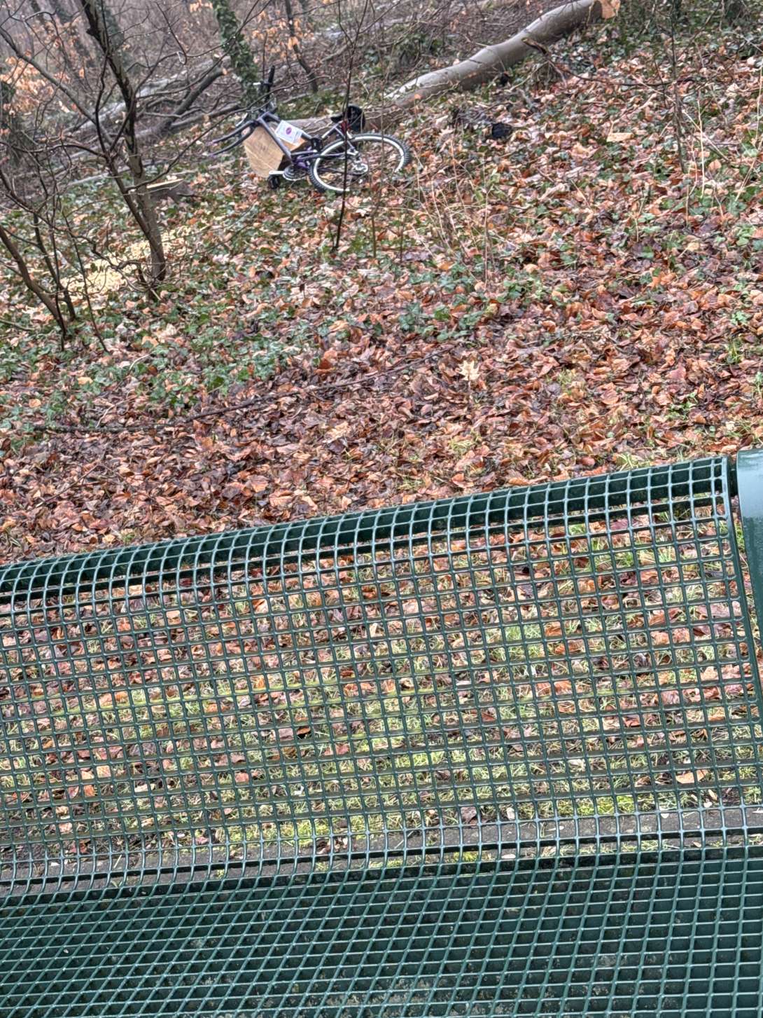 Bild zu gemeldetem Anliegen vom *2025-02-05 14:27:43
