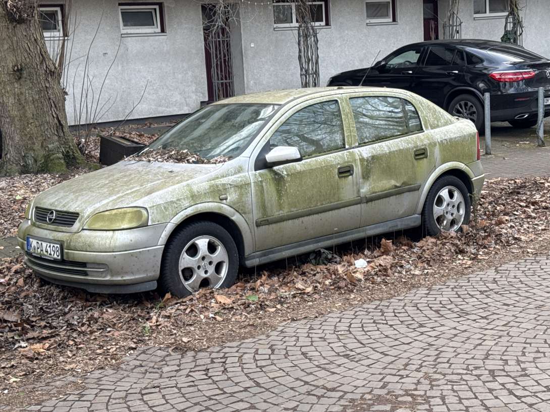 Bild zu gemeldetem Anliegen vom *2025-02-10 09:49:23