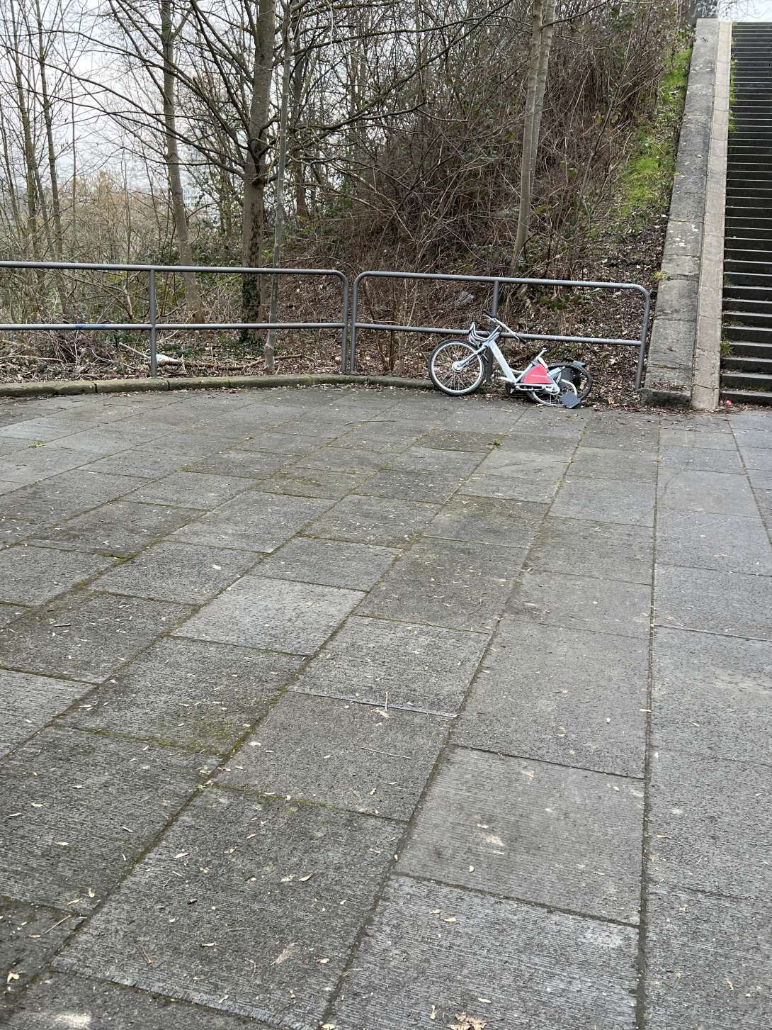 Bild zu gemeldetem Anliegen vom *2025-02-10 12:17:37