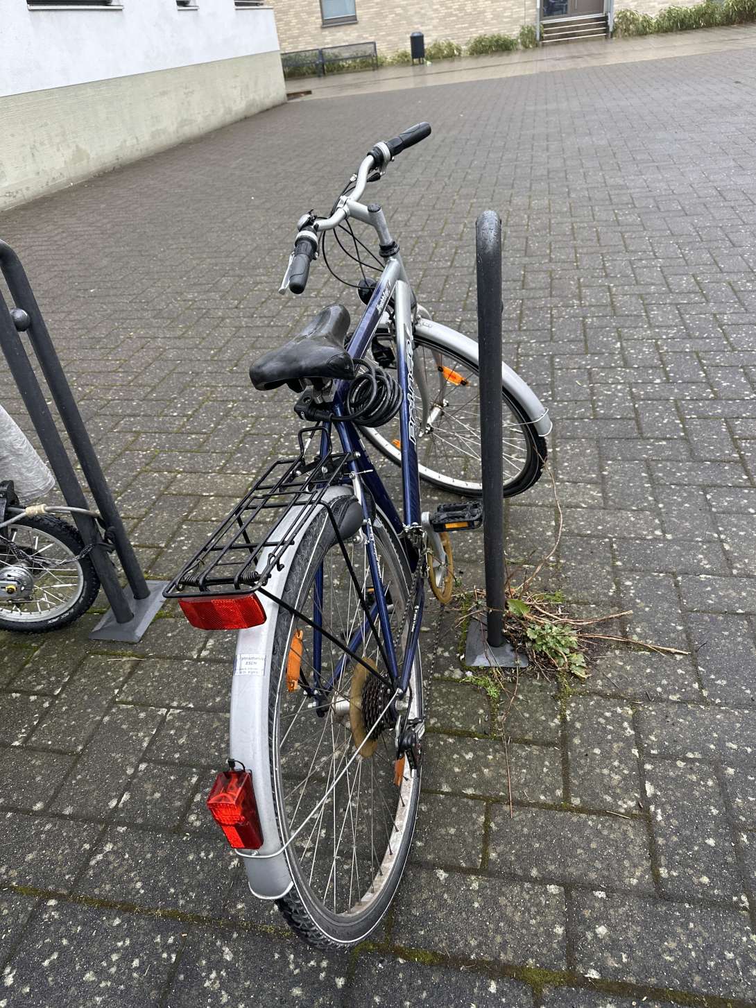 Bild zu gemeldetem Anliegen vom *2025-02-13 09:58:47