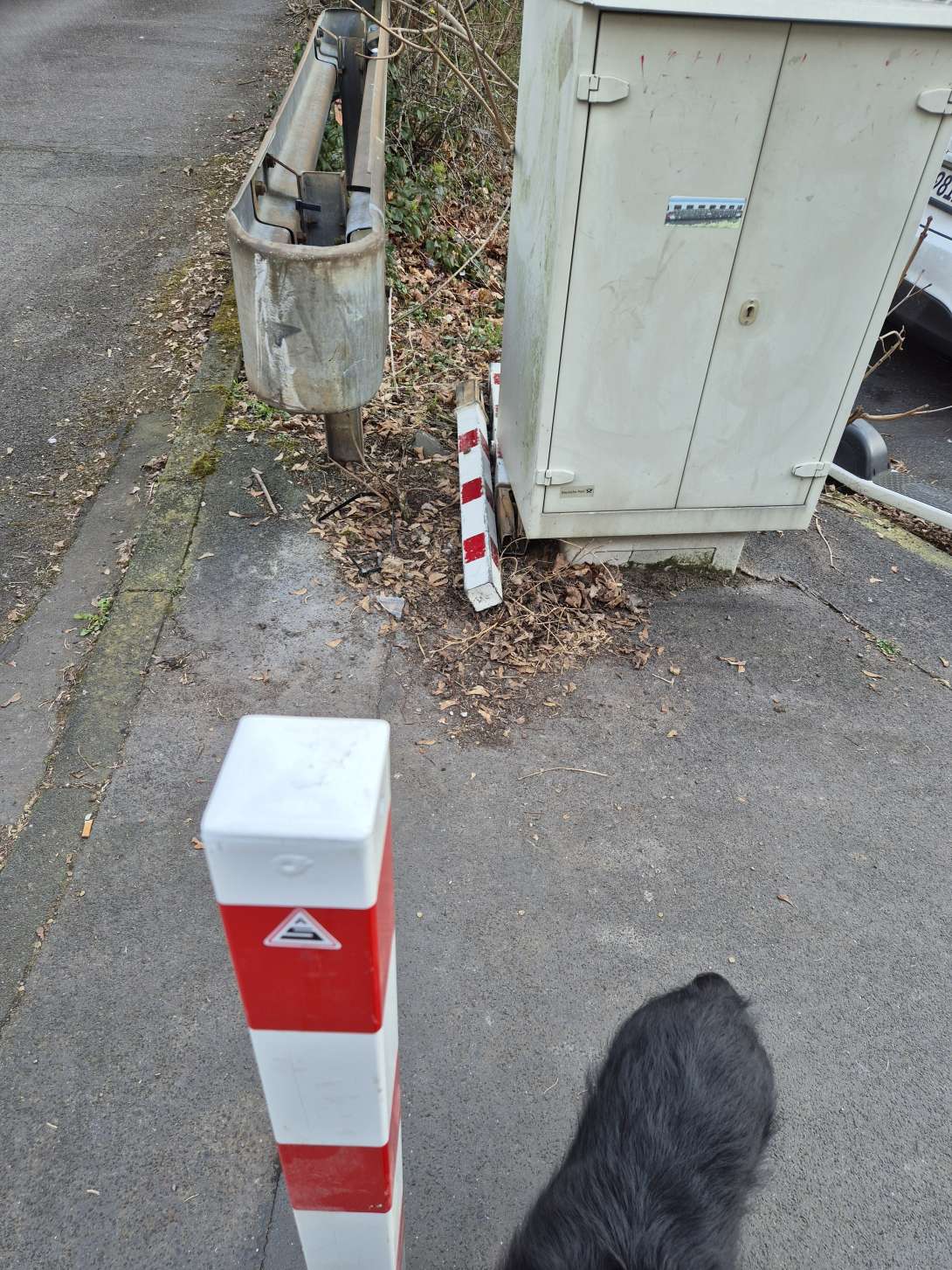 Bild zu gemeldetem Anliegen vom *2025-03-17 08:34:02