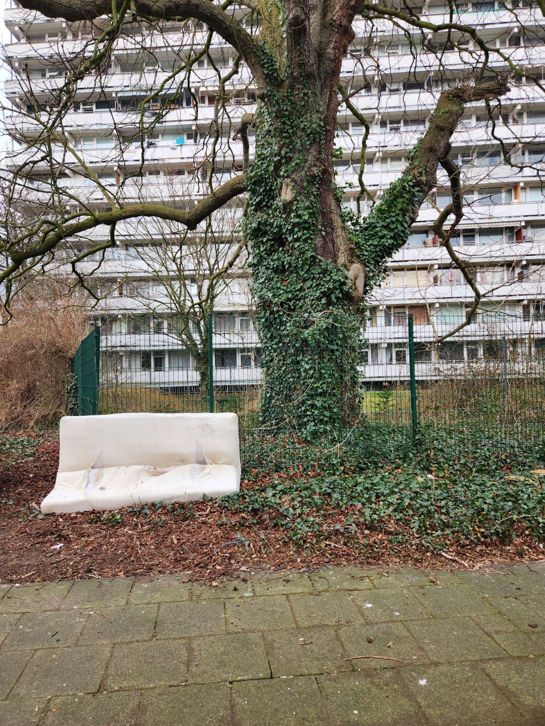 Bild zu gemeldetem Anliegen vom *2025-03-15 11:50:54
