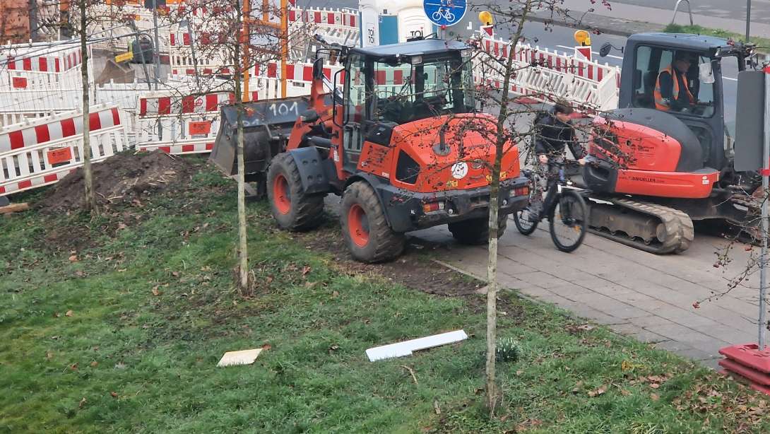 Bild zu gemeldetem Anliegen vom *2025-03-11 07:42:59