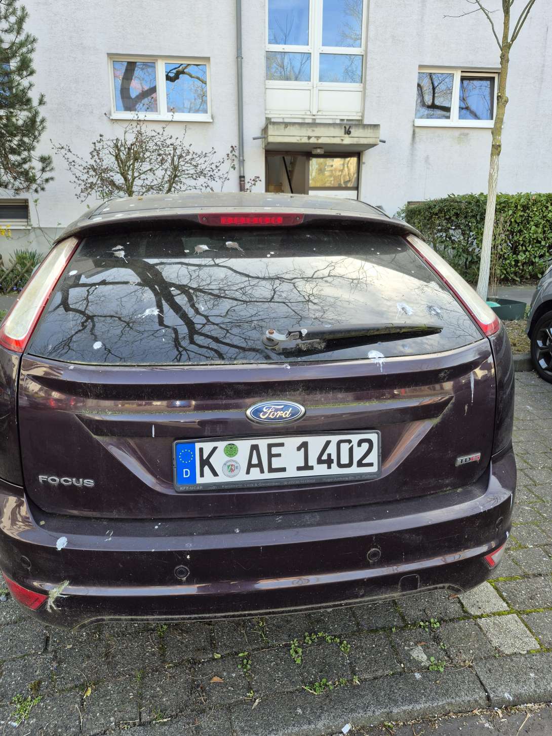 Bild zu gemeldetem Anliegen vom *2025-03-21 11:13:53
