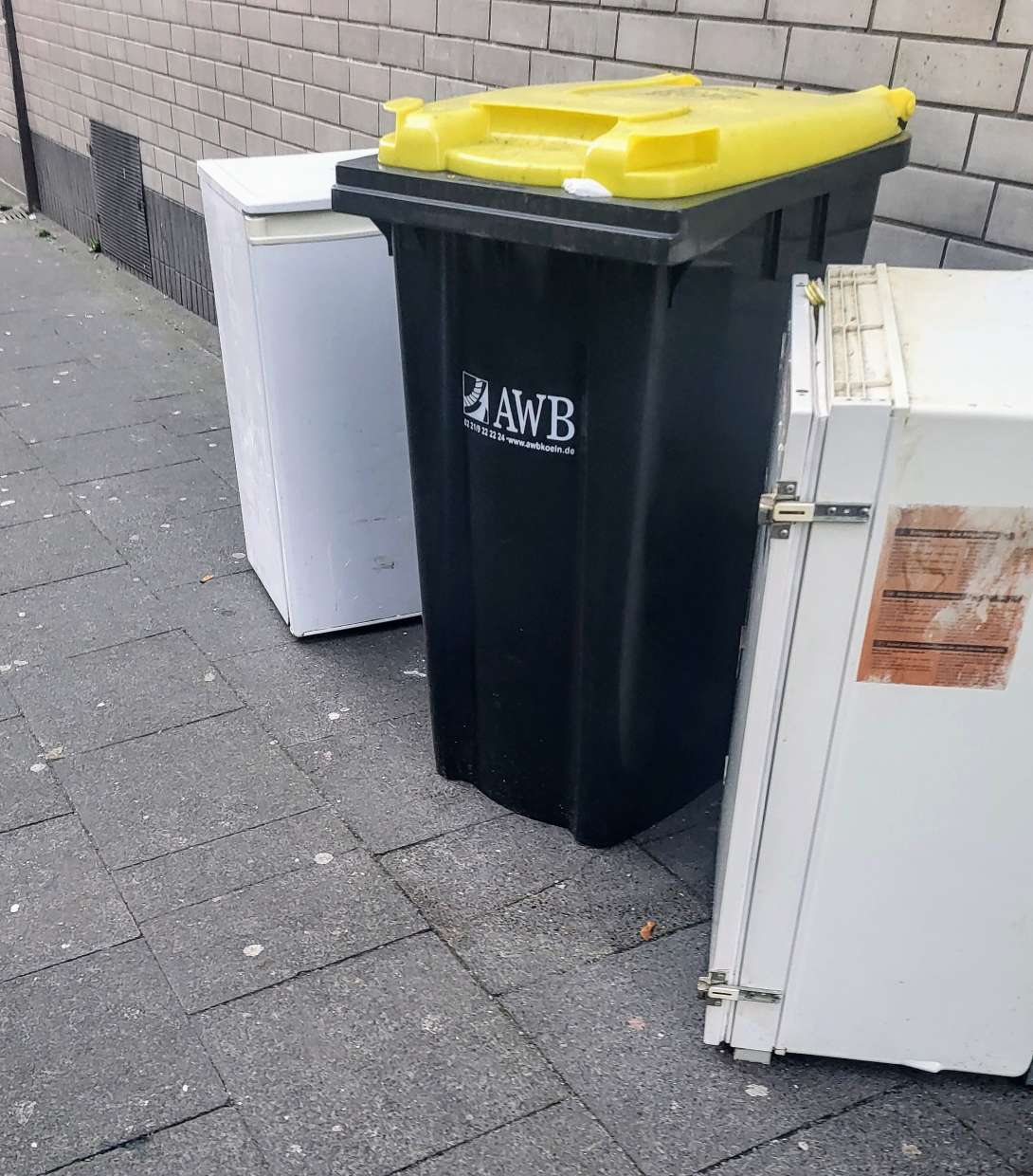 Bild zu gemeldetem Anliegen vom *2025-03-07 18:18:17