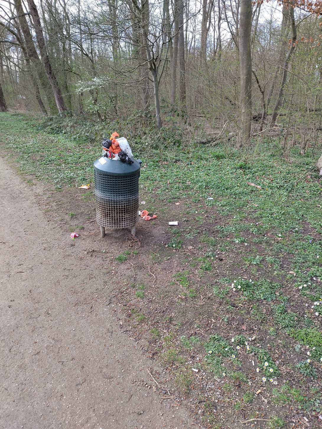 Bild zu gemeldetem Anliegen vom *2025-03-24 09:31:35