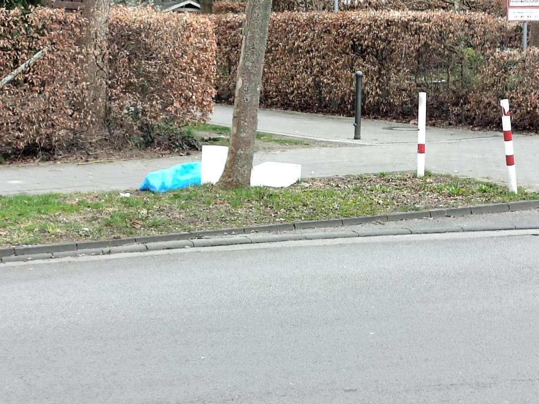 Bild zu gemeldetem Anliegen vom *2025-03-25 07:09:16