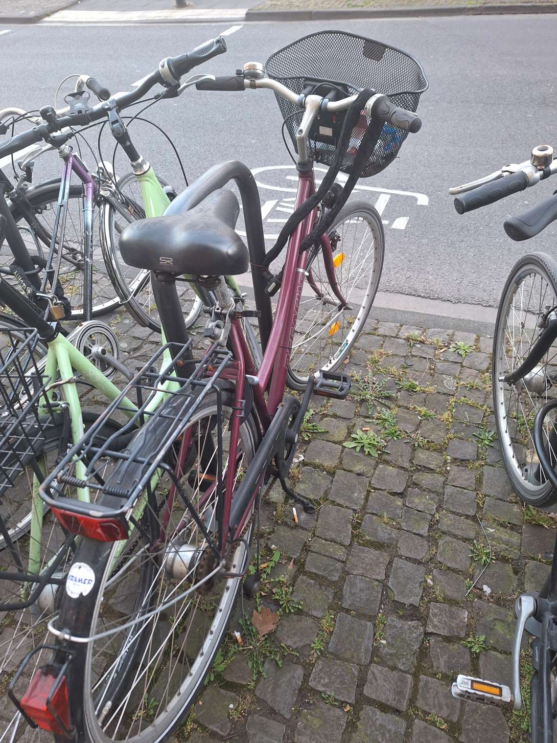 Bild zu gemeldetem Anliegen vom *2025-03-19 09:22:35