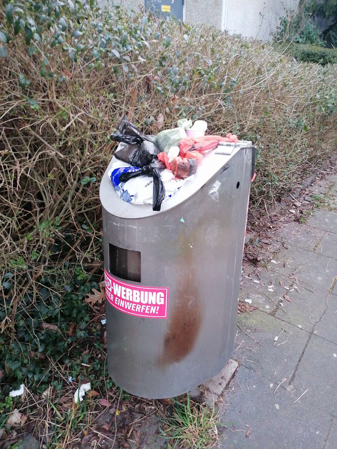 Bild zu gemeldetem Anliegen vom *2025-03-12 18:36:59