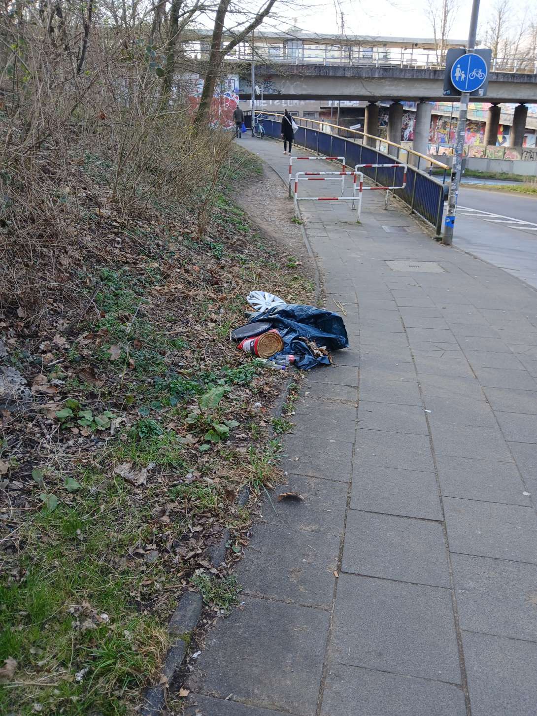 Bild zu gemeldetem Anliegen vom *2025-03-15 15:22:58