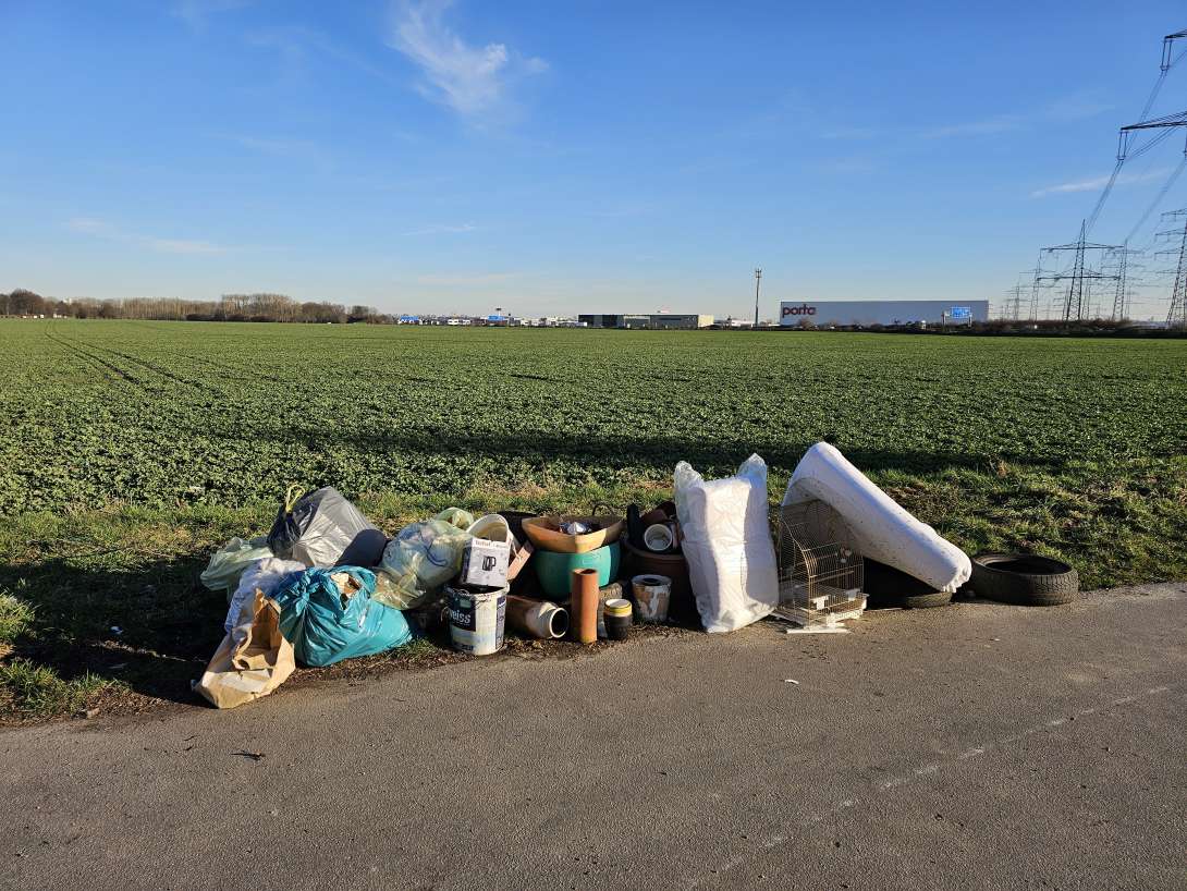 Bild zu gemeldetem Anliegen vom *2025-03-05 15:39:44