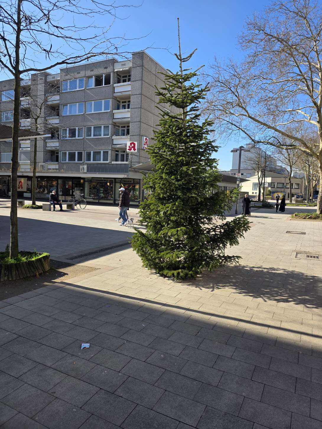 Bild zu gemeldetem Anliegen vom *2025-03-05 13:25:56
