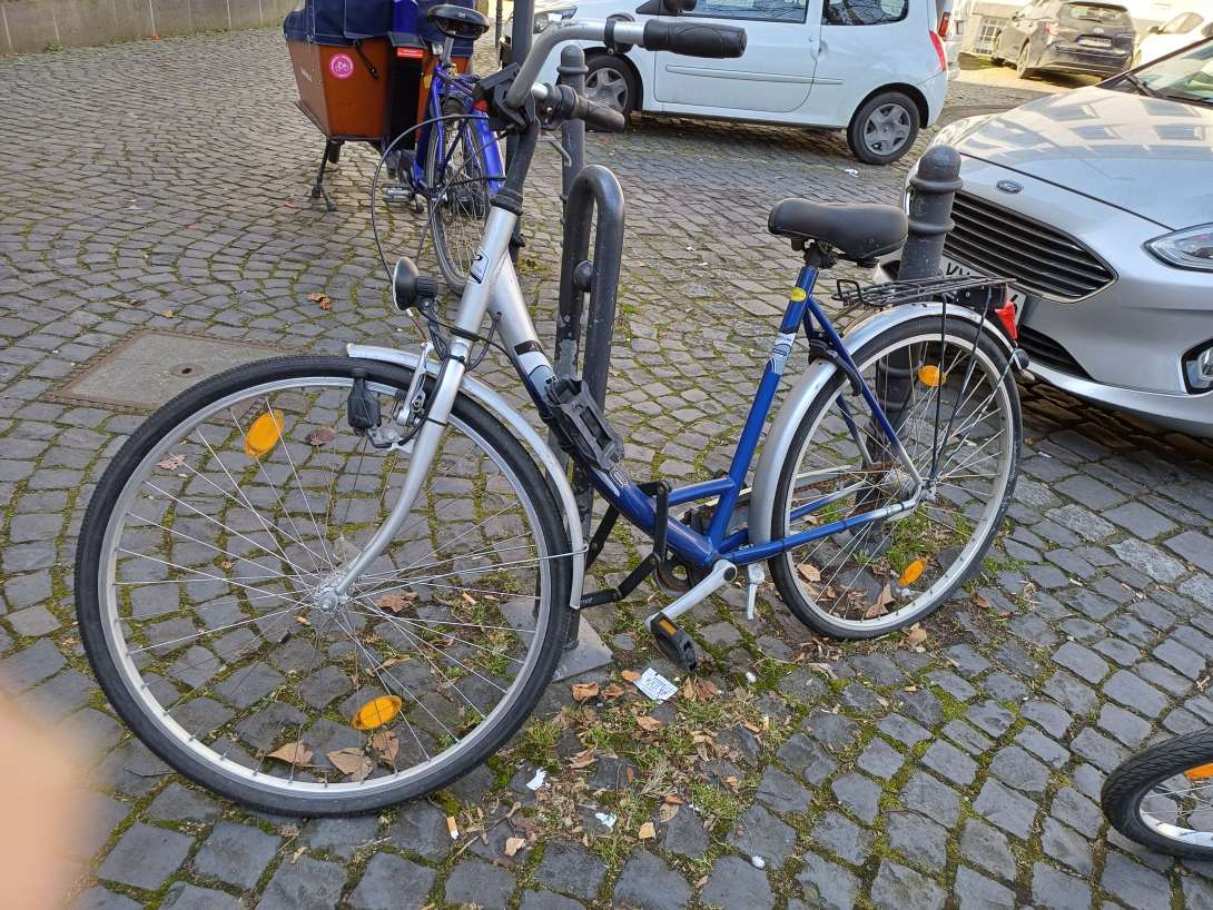 Bild zu gemeldetem Anliegen vom *2025-03-10 13:31:43