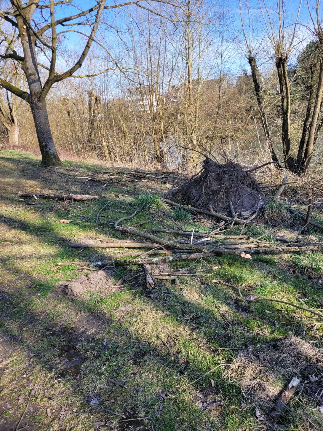 Bild zu gemeldetem Anliegen vom *2025-03-10 17:09:01