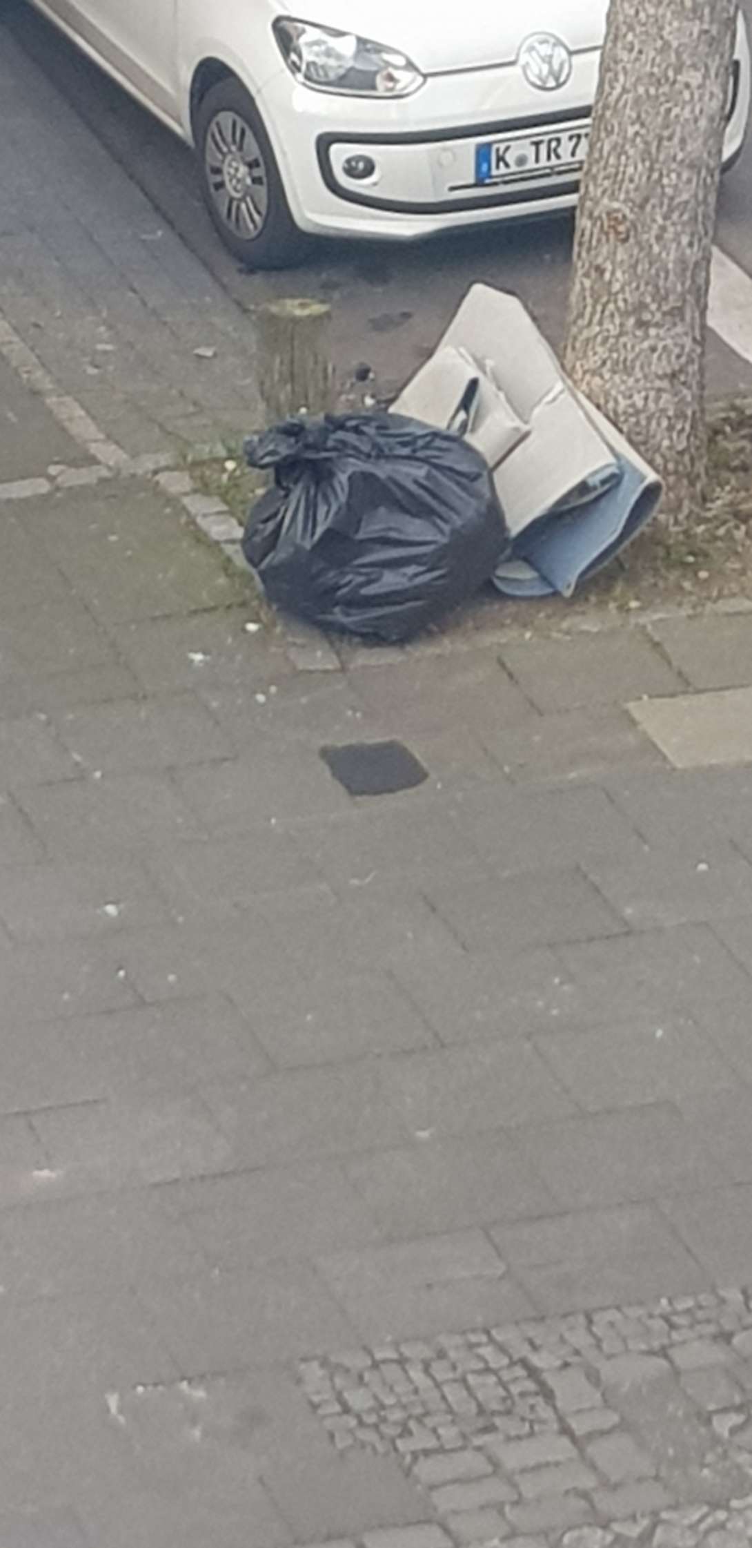 Bild zu gemeldetem Anliegen vom *2025-03-10 15:34:16